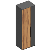 Шкаф 2-ств. Моника с полками (Темно-серый лофт/Дуб золотистый)